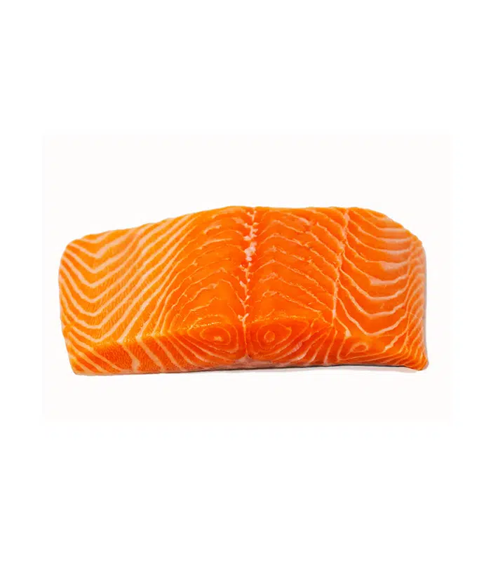Ocean Trout