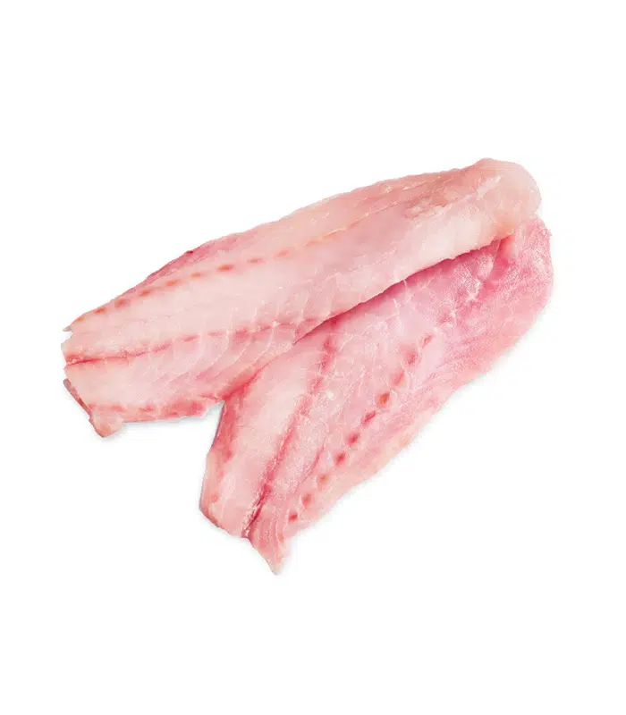 Pacific Rockfish
